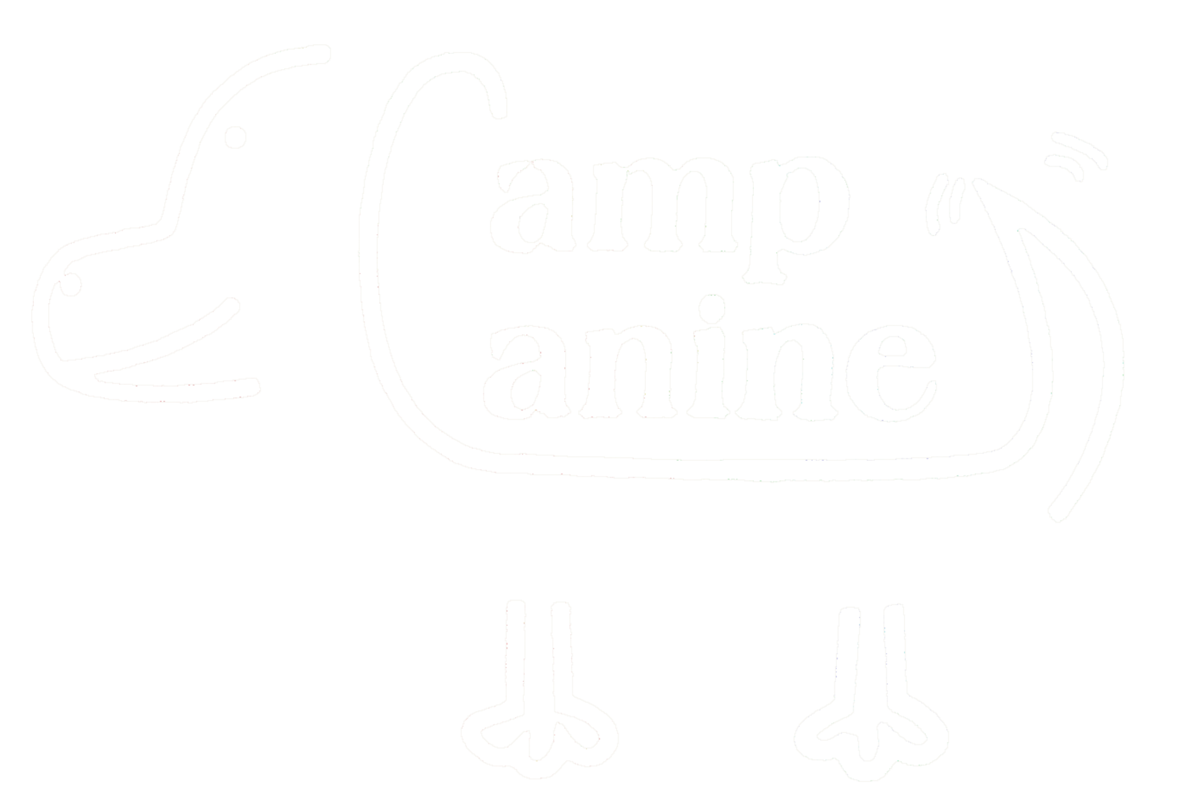 Christy’s Camp Canine